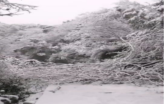戰暴雪、保供電！湖南發展鳥兒巢公司應對極端天氣緊急搶修失電故障
